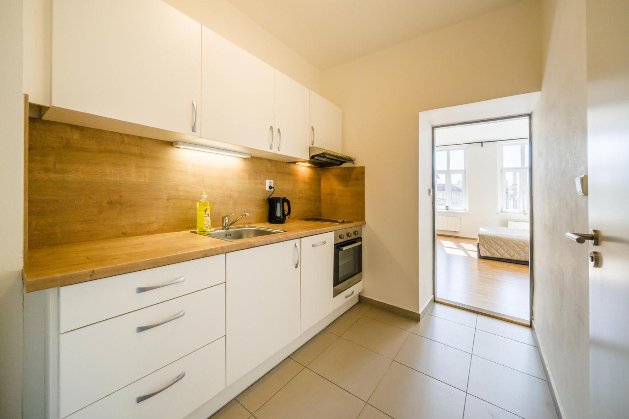 Apartia Vlhka 26, Brno-Center Buitenkant foto